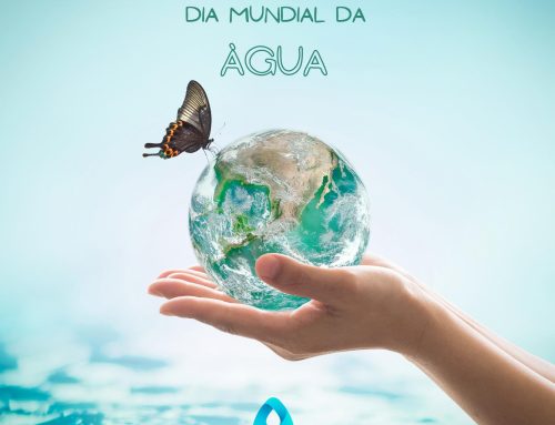 Dia Mundial da água